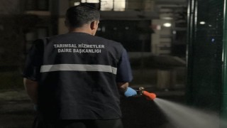 Büyükşehirden ilaçlama atağı
