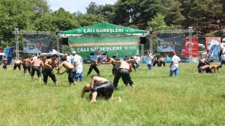 Çalıda başpehlivan Mehmet Yeşil Yeşil oldu