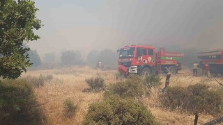 Çanakkalede tarım arazisinde yangın