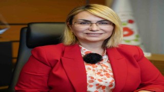 CHPli Başkan Fazlaca, ihraç talebiyle Yüksek Disiplin Kuruluna sevk edildi