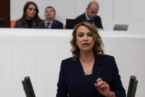 CHP’li Kara’dan İklim Kanunu’na Sert Eleştiri