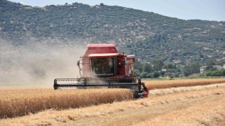 Çiftçilerden hayvan üreticilerine kritik uyarı: Elinizi Çabuk Tutun
