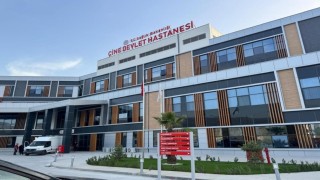 Çinede 3 ayda yaklaşık bir yıllık doğum gerçekleşti