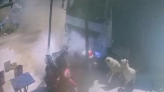 Çocuğun kullandığı kamyonun altında ezilmekten saniyelerle kurtuldular: O anlar kamerada