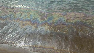 Deniz suyunun rengi değişti, vatandaşlar tahliye edildi