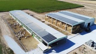 Denizli tarımına 87.4 milyonluk destek