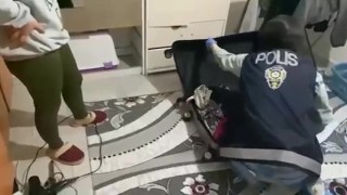 Denizlide nitelikli dolandırıcılık şebekelerine operasyon