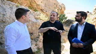 Derik Kaymakamı Bayraklı, zeytinliklerde yürütülen sulama çalışmalarını inceledi