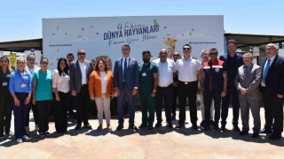 Didimde hayvan barınağı denetlendi