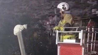Direkte Mahsur Kalan Kedi Sağ Salim Kurtarıldı