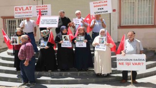 Diyarbakırda 384üncü aile evlat nöbetine katıldı