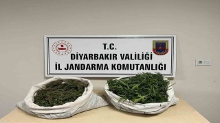 Diyarbakırda 8 kilo esrar ele geçirildi