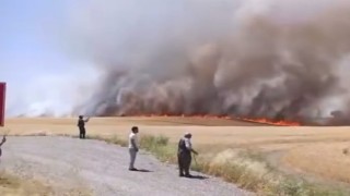 Diyarbakırda bin dönümden fazla biçilmemiş buğday ve arpa yangında kül oldu