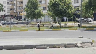 Diyarbakırda sürü halinde gezen köpekler vatandaşları korkuttu