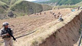 Diyarbakırda yaklaşık 160 milyar 650 milyon TL olan 319 tonluk uyuşturucu maddenin topluma sunulmasının önüne geçildi