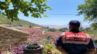 Doğanbeyde orman yangınlarına dikkat çekildi