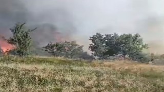 Düzcede orman yangını: 5 hektarlık alan küle döndü
