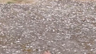 Edirnede dolu yağışı etkili oldu