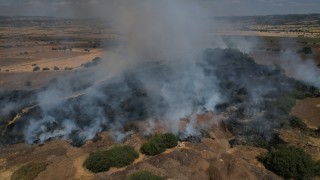 Ekili alanda çıkan yangın kısa sürede kontrol altına alındı