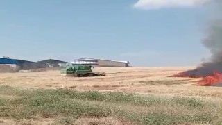 Ekili alanlar cayır cayır yandı
