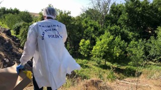 Elazığda ağaca asılı halde erkek cesedi bulundu