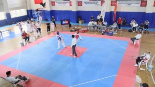 Elazığda taekwondo heyecanı