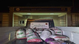Ercişte 2 ton kaçak avlanmış balık ele geçirildi