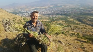 Erciyesten gelen şifa kaynağı: Karakovan Balı