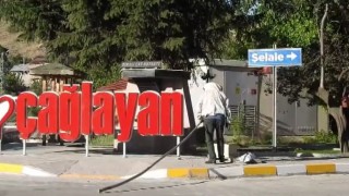 Erzincanda arı paniği