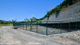 Esenyurtta sokak hayvanları için modern barınak