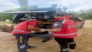 Eskişehirden 2 UMKE aracı ve 10 personel Bilecik yangınına desteğe gitti