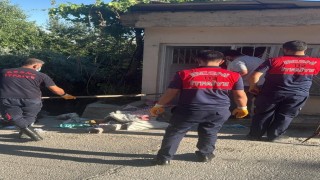 Eve giren yılan korkuttu