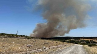 Ezinede tarım arazisinde başlayan yangın ormanlık alana sıçradı