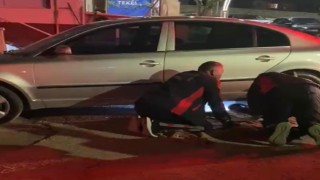 Farklı noktalarda mahsur kalan kedilere itfaiyeden yardım eli