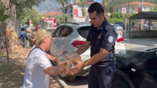 Fethiyede otomobilde sıkışan yavru kedi kurtarıldı
