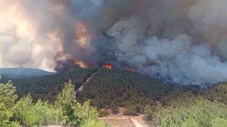Foçada orman yangınına havadan 11 uçakla müdahale