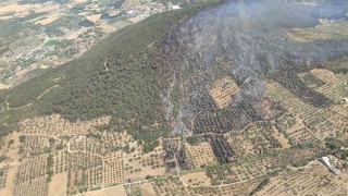 Foçada ormanlık alanda çıkan yangın kontrol altında