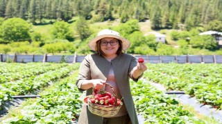 GAP Bölge Başkanlığı ile Huzur Yaylası Proje lansmanı düzenlendi