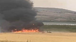 Gaziantepte korkutan yangın: 50 dönüm arazi kül oldu
