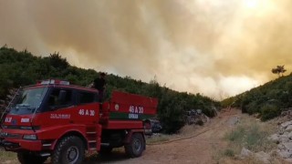 Gaziantepte orman yangını: Yangına havadan ve karadan müdahale ediliyor