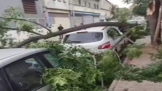 Gaziantepte şiddetli fırtına: Ağaçlar devrildi, araçlar zarar gördü, toz bulutu etrafı kapladı