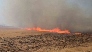 Gaziantepteki çıkan anız yangını fabrikaları tehdit etti
