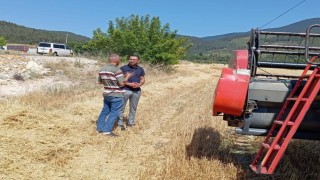 Gölpazarında hasat ve biçerdöver denetimleri sürüyor