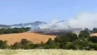 Gönende buğday tarlasında yangın çıktı