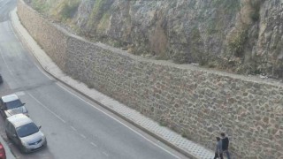 Gümüşhane dağlarının süsü yaban keçileri şehrin de süsü oldu