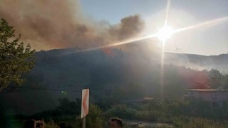 Hatayda orman yangını