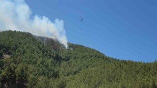 Hatayda orman yangını havadan müdahaleyle kontrol altına alındı
