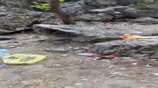 Herkesin gelip görmek istediği şelaleyi, çöplüğe çevirdiler