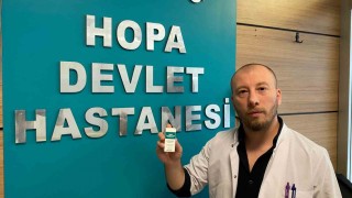 Hopada yılan sokmaları arttı, uzmanlar Hopa engereği konusunda uyardı