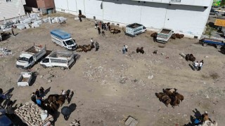Iğdırda bayrama 1 gün kala kurbanlık telaşı havadan görüntülendi